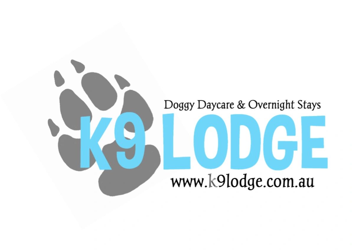 Doggy daycare overnight deals